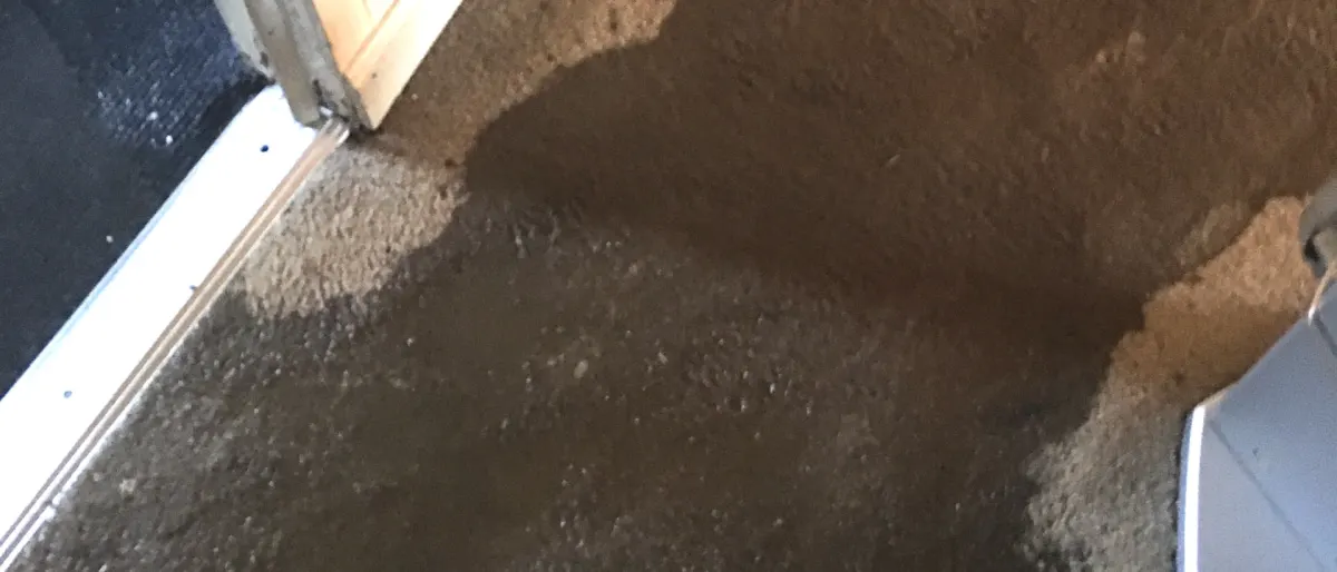 Water damage on rug in family room 2023 11 27 04 56 43 utc
